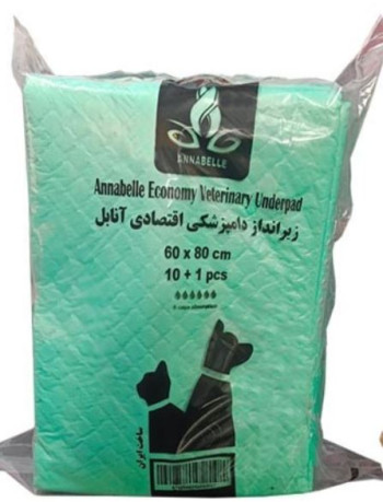 پد و زیرانداز بهداشتی حیوانات آنابل اقتصادی ۶۰ * ۸۰ بسته ۱۱ عددی Annabelle