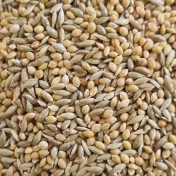 مخلوط ارزن کتان بسته یک کیلوگرمی