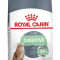 غذای خشک گربه رویال کنین دایجستیو مدل Digestive Care
